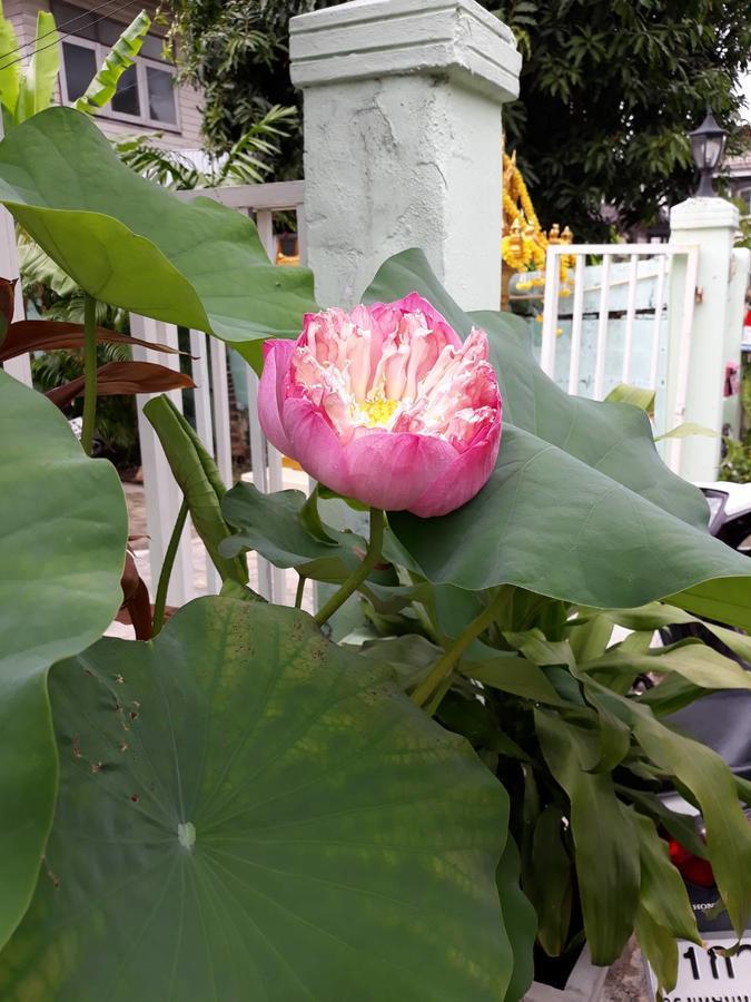 D Heart Homestay Bangkok Esterno foto