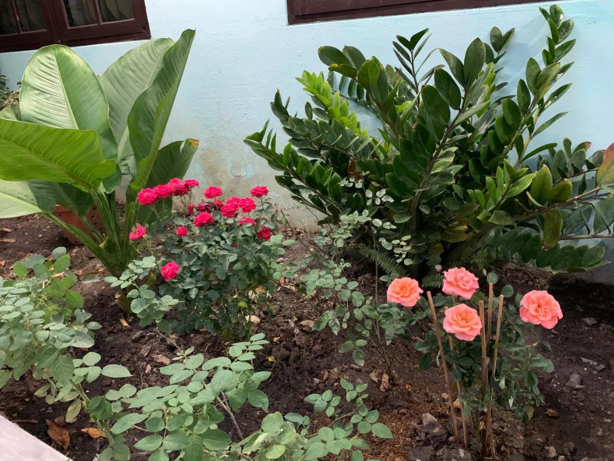 D Heart Homestay Bangkok Esterno foto